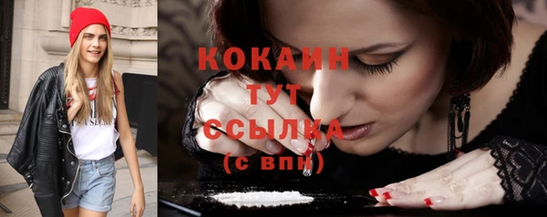 мдпв Пестово