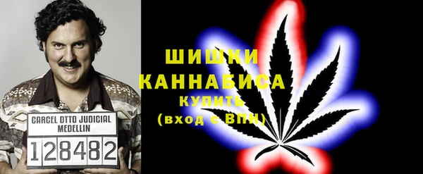 PSILOCYBIN Абдулино