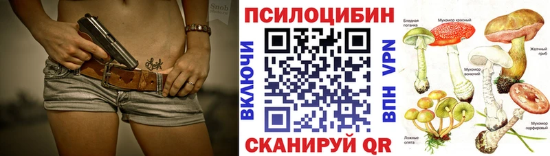 наркотики Аксай Псилоцибиновые грибы прущие грибы